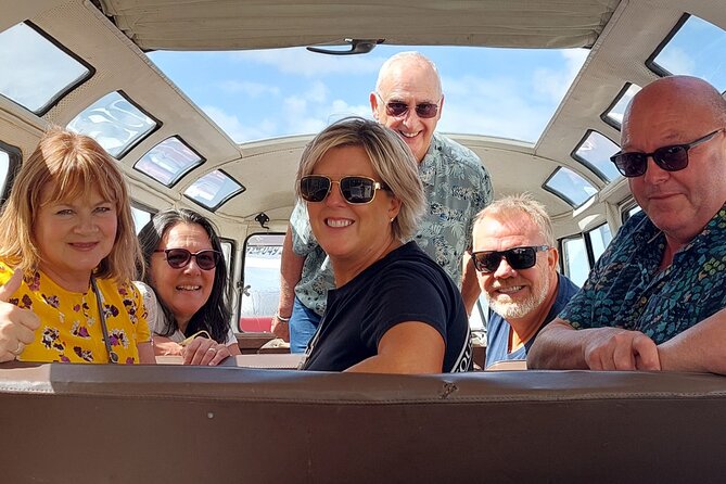 Private Porto Sightseeing by Vintage VW Kombi (up to 8 people) - Serra do Pilar, Santa Catarina, and Vitória viewpoints in one smooth route