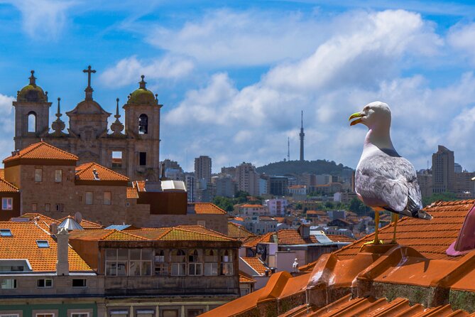 PRIVATE Porto walking tour with historian - São Bento Railway Station: Read the Azulejos Like a Story