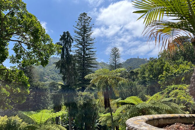 Private: Quinta da Regaleira & Sintra Historic Center Guided Tour - Should you book Quinta da Regaleira with a guide?