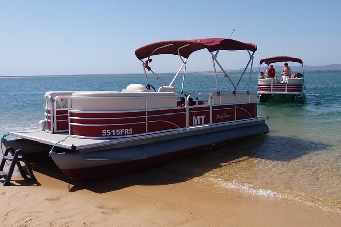 Private Ria Formosa Natural Park Boat Cruise from Faro - Ilha do Farol: 45 Minutes to Explore at Your Own Tempo