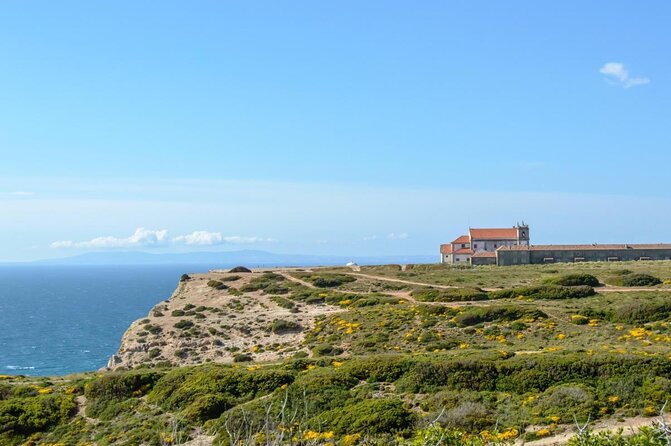 Private Safari Tour to Espichel Cape & West Coast Wild Beaches - What This Private Safari Tour from Lisbon Feels Like