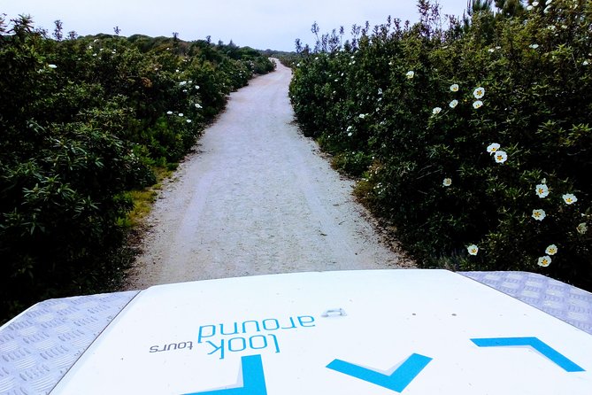 Private Safari Tour to Espichel Cape & West Coast Wild Beaches - Sesimbra’s Rugged Coast: Wild Waves and a Different Kind of Beach Time