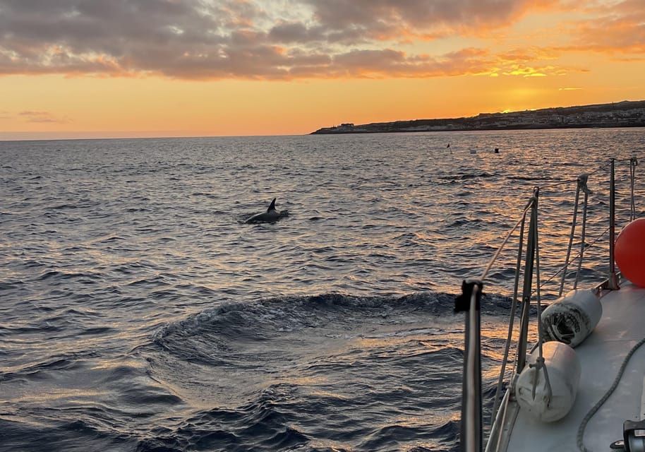 Private Sailing Sunset Tour PDL - Viewpoint Stop: Swimming, Snorkeling, and Stand-Up Paddle When the Light Gets Good