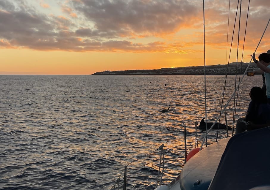 Private Sailing Sunset Tour PDL - Wine, Picnics, and the Little Comforts That Make It Feel Easy