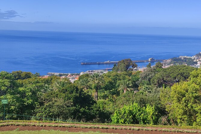 Private Sidecar Tour – Downtown Funchal for 1 or 2 People - Price and value: what $108.13 really buys you