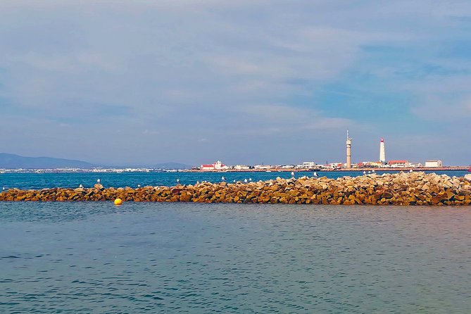 Private Sightseeing Boat Tour in Ria Formosa at Olhão - Stop 3: Ilha da Culatra fisher village—real island life in a short visit