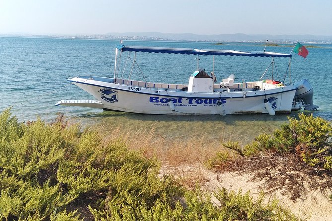 Private Sightseeing Boat Tour in Ria Formosa at Olhão - Your skipper experience: Daniel, Ricardo, and João set the tone