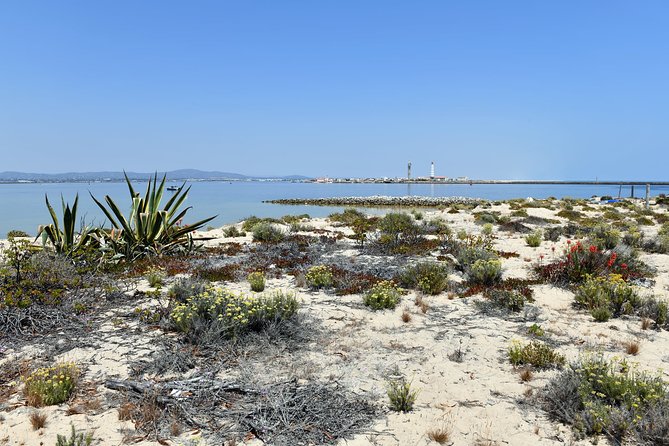 Private Sightseeing Boat Tour in Ria Formosa at Olhão - What’s included (and what you should plan around)