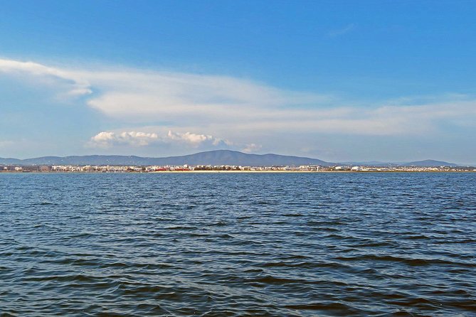 Private Sightseeing Boat Tour in Ria Formosa at Olhão - Stop 1: Ria Formosa Natural Park cruise with a skipper’s lagoon talk