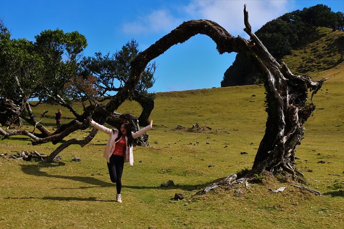 Private Tailored tour to the West in a 4WD. No shared groups! - A Full Day Starter: 9:00 AM and About 8 Hours in Motion