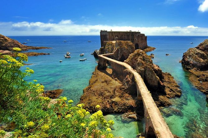 Private Tour: Berlenga Grande Island Day Trip from Lisbon - A private day on Berlenga Grande: what you’re really buying