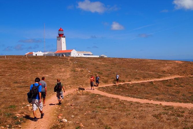 Private Tour: Berlenga Grande Island Day Trip from Lisbon - The Peniche stop: fort views, quick context, and short legs