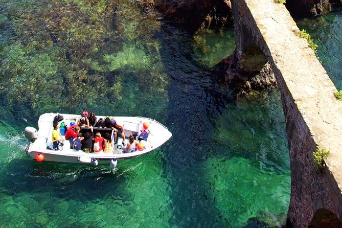 Private Tour: Berlenga Grande Island Day Trip from Lisbon - Berlenga Nature Reserve: birds you can actually spot