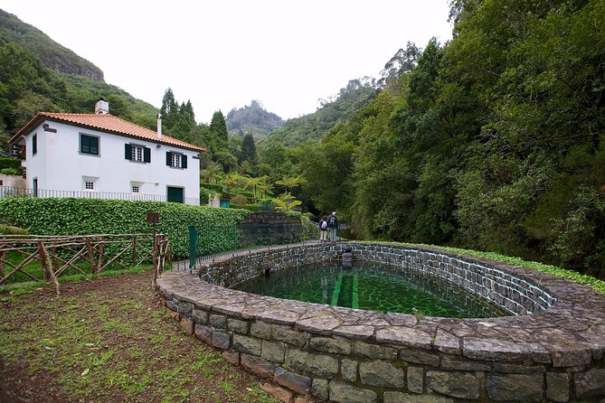 Private Tour East Madeira - Price and logistics: when $216 per group actually feels fair