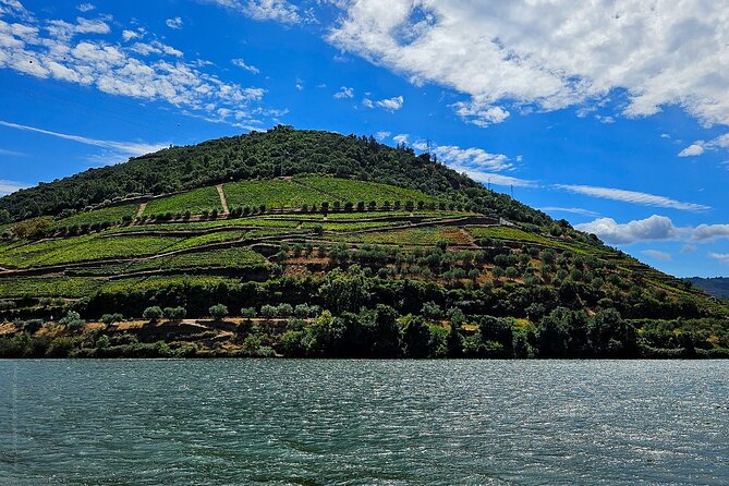 Private Tour from Porto : Douro Valley and Green Wines - The Douro lunch break: three dish options and local table wine