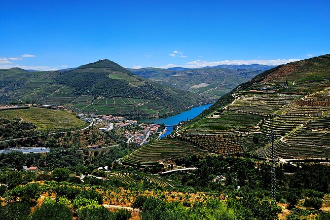 Private Tour from Porto : Douro Valley and Green Wines - The guide experience: why private helps on wine days
