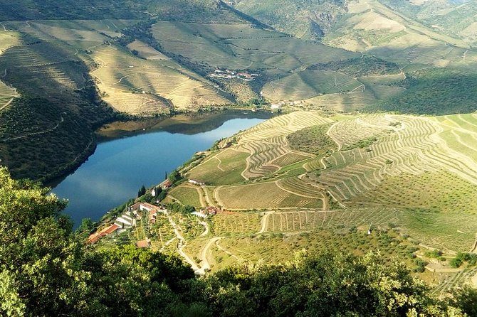 Private Tour in Douro Valley Wine Region & Traditional Lunch - Lunch at a local tavern: the moment to slow down