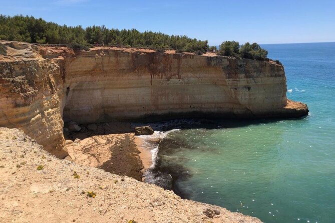 Private Tour in Sintra and Cascais - Cascais Town Walk: The Soft Landing After the Coast