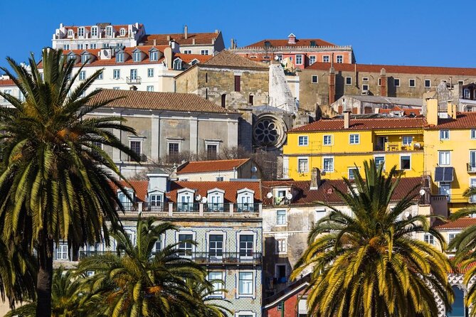 Private tour: Lisbon Fado Dinner Show and Panoramic Night Tour - Key highlights to look forward to