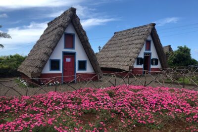 Private Tour North Madeira - Price and value: what $216.86 per group really buys