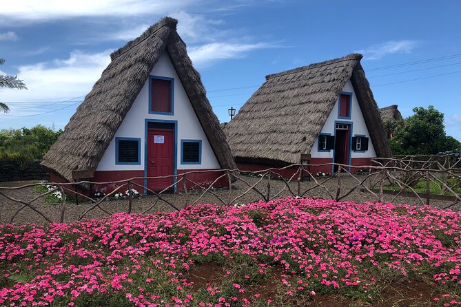 Private Tour North Madeira - Price and value: what $216.86 per group really buys
