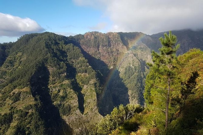 Private Tour Nun's Valley Halfday - Stop 2: Miradouro Pico dos Barcelos for Funchal photo time