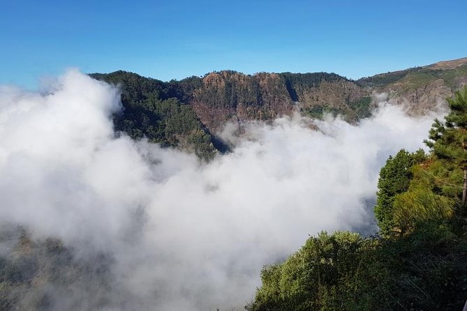 Private Tour Nun's Valley Halfday - The value math: what $192.23 per group really buys