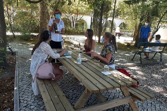 Private Tour of Azeitão / Palmela / Setúbal Wines - Arrábida Natural Park Pass-Through: Views Without the Time Sink