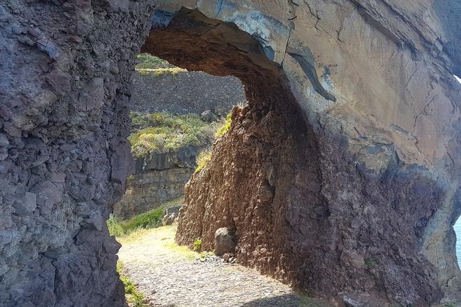 Private Tour South Madeira - Stop 4: Quinta Pedagógica dos Prazeres—animals, local jams, and a slower hour