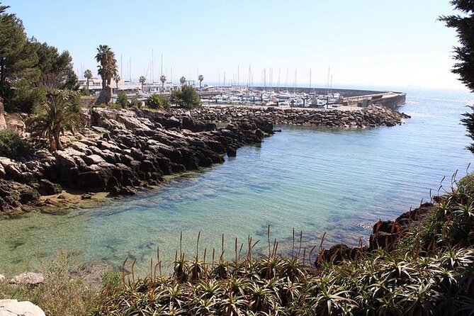 Private tour to Sintra, Cabo da Roca and Cascais Half Day - Guides: the difference between a “ride” and an actual tour