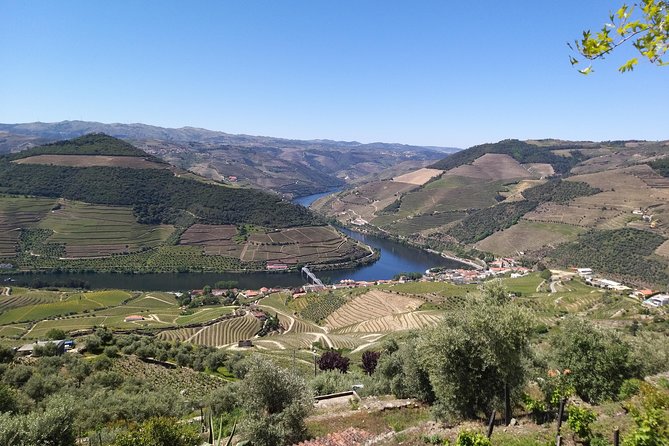 Private Tour to stunning Douro Valley and most renowned wineries - Key things I’d circle before you book
