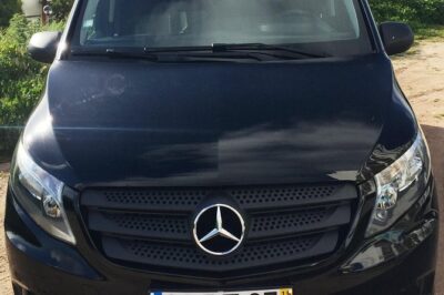 Private Transfer From or To Lisbon Airport - Timing Rules and Flight Delays: The 1h30 Wait Window