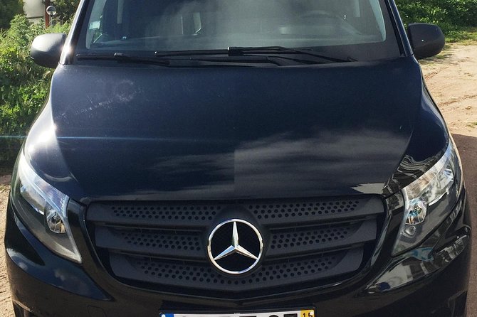 Private Transfer From or To Lisbon Airport - Timing Rules and Flight Delays: The 1h30 Wait Window