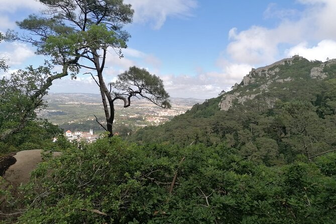 Private Tuk Tuk Tour through Serra de Sintra - Vale dos Lagos Viewpoint at Parque da Pena
