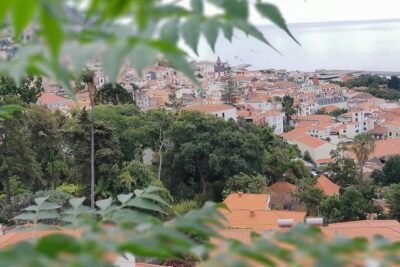 Private Tuk Tuk Tour to Old Town + Monte in Funchal - Stop at Paroquia de Nossa Senhora do Monte: Church Views and a Quick Reset