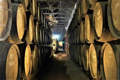 Private Wine Tasting in the Setúbal Wine Region, from Lisbon - Quinta do Alcube (and the smaller-producer lesson)