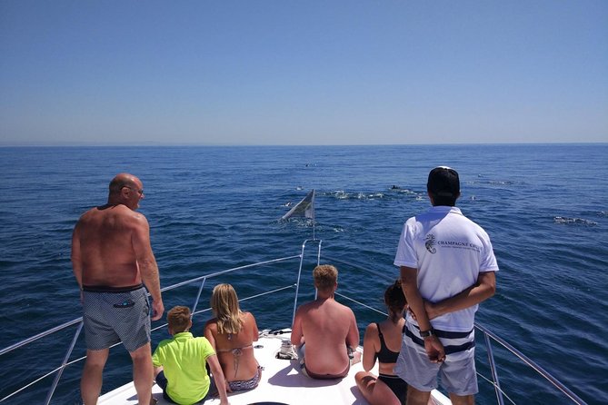 Private Yacht Hire in The Algarve - Majestic - Caves and rock formations: why the jet rib changes everything