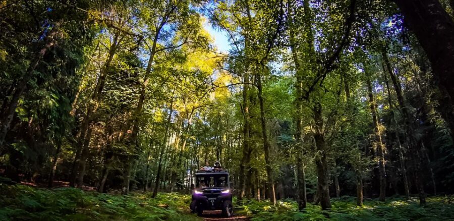 Prozelo: Buggy Tour - What to bring (and what to leave at home) for zero stress