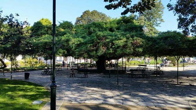 Queer Lisbon - A Treasure Hunt in LGBT History - Key highlights you’ll feel on the ground