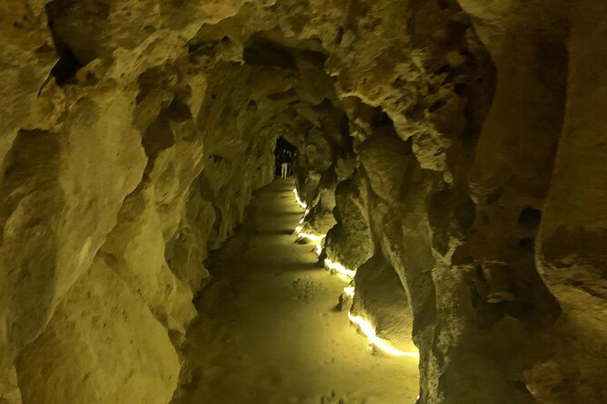 Quinta da Regaleira and Visit to Sintra Private Half Day Tour - Getting from Lisbon: pickup, timing, and the convenience factor
