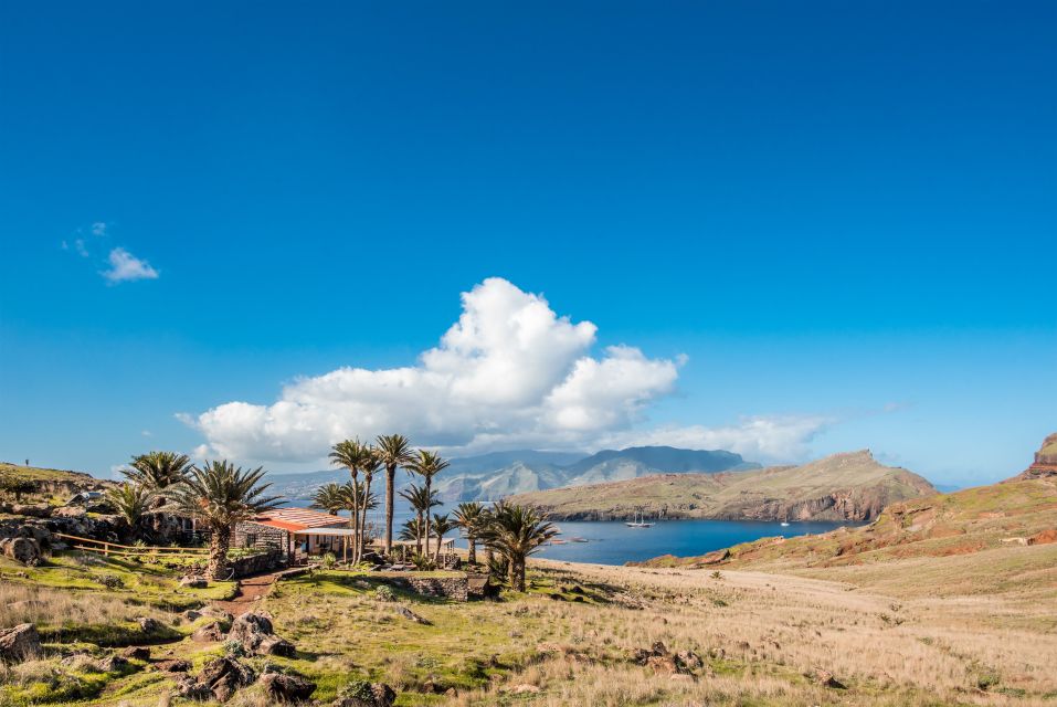 Quinta do Lorde: Kayak Experience in Ponta de São Lourenço - Small-group pacing: the difference between 10 people and 30