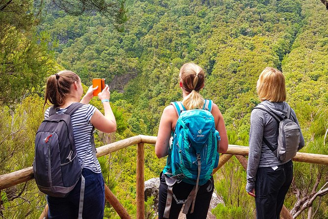 Rabaçal 25 Fontes Levada Walk in Small Groups - Key Points Before You Go