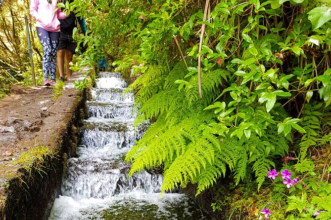 Rabaçal 25 Fontes Levada Walk in Small Groups - Why This Levada Walk Feels Worth It in Madeira