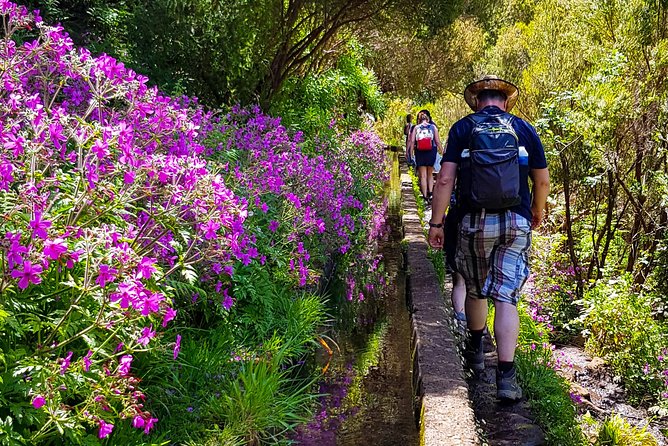 Rabaçal 25 Fontes Levada Walk in Small Groups - Pace, Group Size, and Route Flexibility