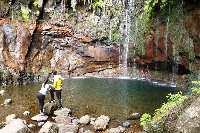 Rabaçal - 25 Fonts - What your guide teaches on the levada walk