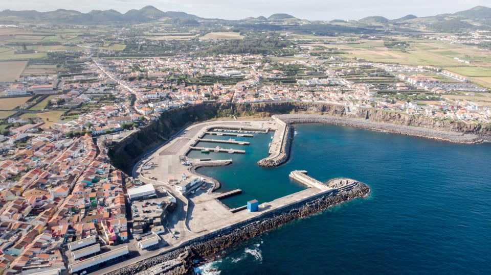 Rabo de Peixe: Sperm Whale Sanctuary Expedition - Key takeaways before you go