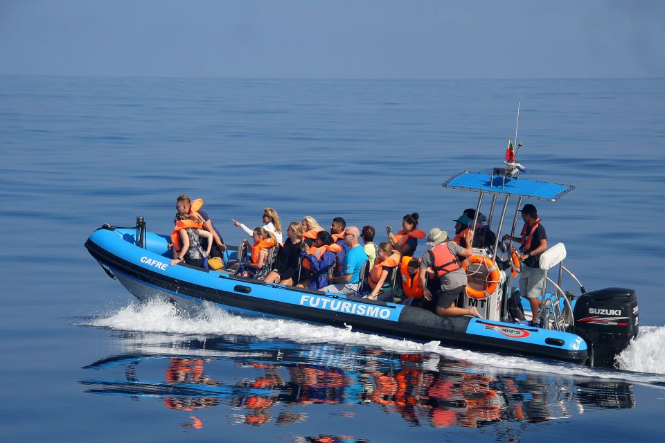Rabo de Peixe: Sperm Whale Sanctuary Expedition - Boat size and comfort: a small-boat style for better viewing