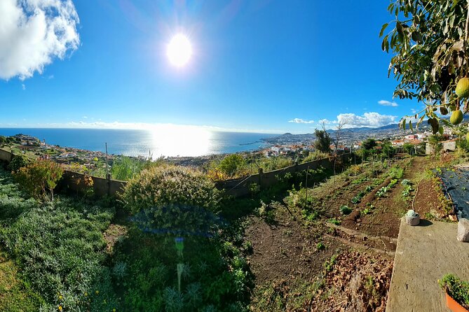 "Re-Canto" Farm-to-Table with Stunning Views at Madeira - Vegetarian and Vegan Options: Yes, and They’re Part of the Plan