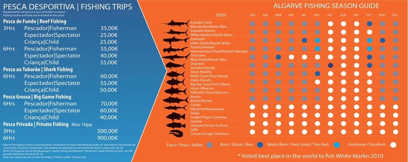 Reef Fishing in Vilamoura - Why reef fishing near Vilamoura feels friendly and doable