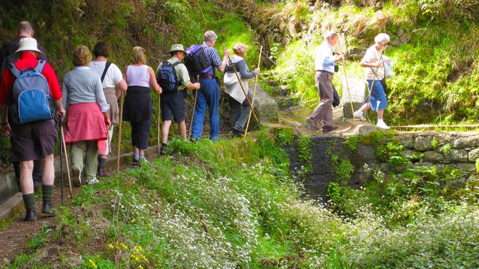 Referta / Castelejo - Levada Walk - Referta to Castelejo: an easy levada walk with real island character